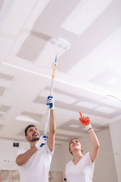 Best Black Mold Removal  in West Rancho Dominguez, CA