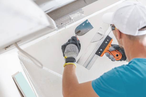 Best Water Damage & Mold Remediation  in West Rancho Dominguez, CA